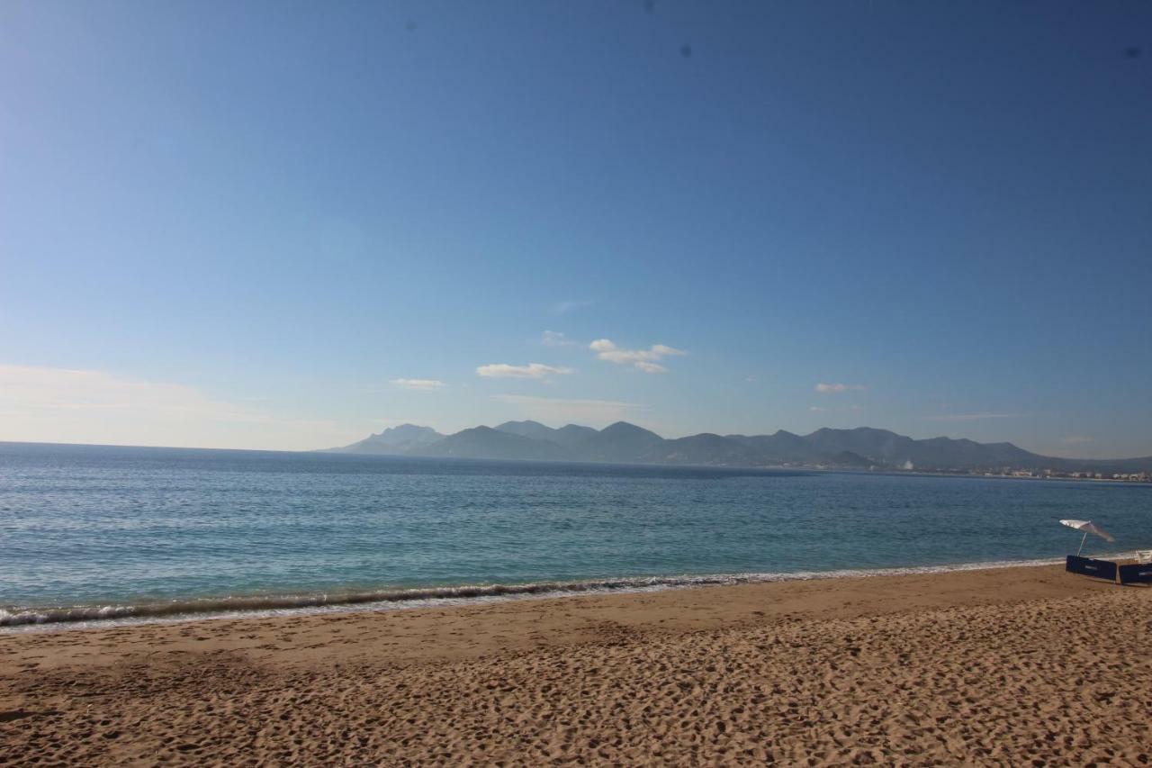 Cannes Conseil Immo, Grand Studio Terrasse Gray D'Albion Area -Four- Lejlighed Eksteriør billede